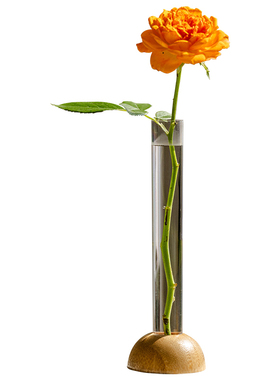 简约ins风水培插花器小花瓶摆件