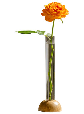 简约ins风水培插花器小花瓶摆件