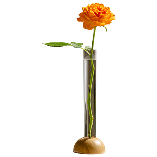 试管小花瓶摆件高级感桌面装饰简约ins风单支一枝花插花水培器皿