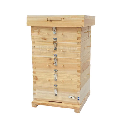 养蜂蜜蜂格子蜂箱杉木