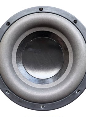 天籁10寸双音圈24颗钕磁低音炮改装车载卡包音响KTV包房会议舞台