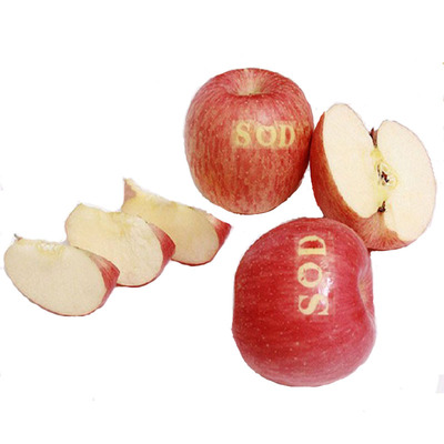 寺河山红富士sod包邮灵宝苹果