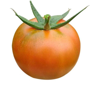 山东五莲普罗旺斯孕妇水果沙瓤西红柿子自然熟新鲜生吃粉番茄蔬菜