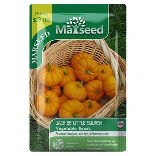 【掌柜推荐】进口传家宝Jack Be Little超甜高产杰克贝小南瓜种子