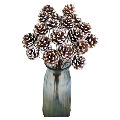 装饰摆件松果橡果diy材料