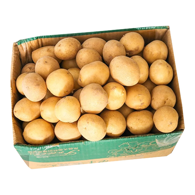 恩施小土豆黄皮黄心整箱包邮