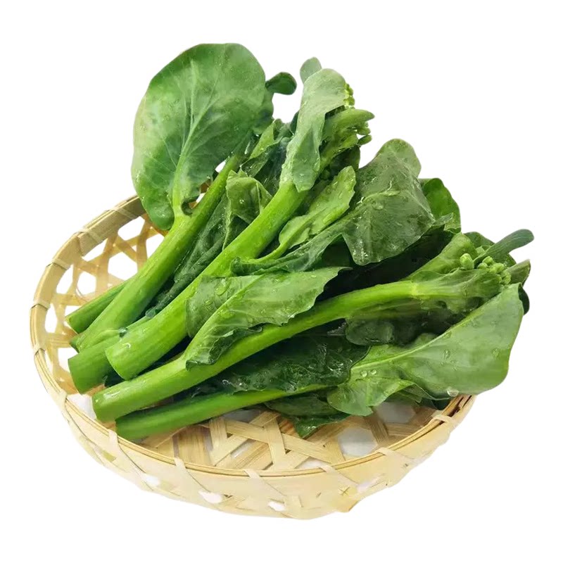 白花芥兰种籽阳台庭院四季花盆栽芥蓝秋播种植农家菜园地蔬菜种子
