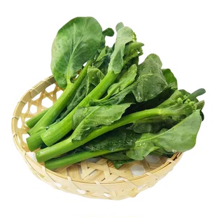 白花芥兰种籽阳台庭院四季花盆栽芥蓝秋播种植农家菜园地蔬菜种子