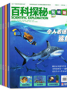 过期刊杂志新蕾出版社
