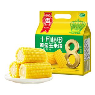 25年新玉米十月稻田黄糯玉米段800g低脂饱腹软糯东北粘苞米真空装