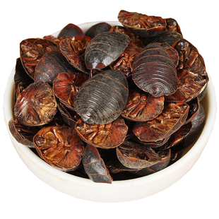 野生土元金边土鳖虫中华中药材500g大个