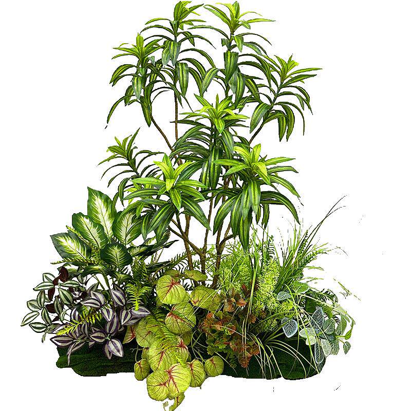 喜语仿真植物景观橱窗造景装饰