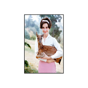 奥黛丽赫本装饰画服装店美容院客厅明星餐厅奶茶店咖啡店挂画灯箱