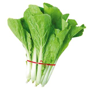 【原装2包】四季播蔬菜 小白菜种子 上海青种子阳台盆栽 菜心种子