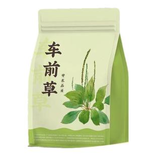 车前草野生中药材正品车前草泡水喝的功效与作用新鲜车前草袋泡茶