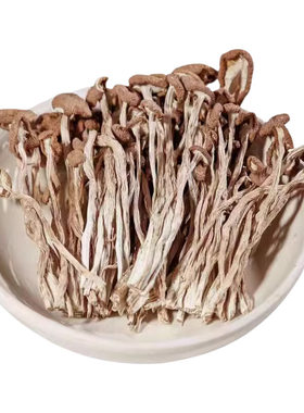 古田农家不开伞茶树菇干货新货菌菇脆嫩煲汤食材食用菌香菇干批发