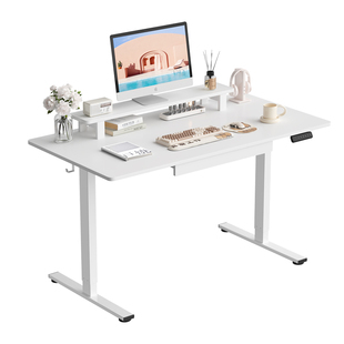 乐歌E2S/E2智能电动升降桌办公桌书桌学习桌居家实木电脑桌绘画桌