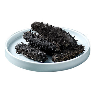 广参堂 真干海参家庭装50g 大连海参干货高营养深海刺参