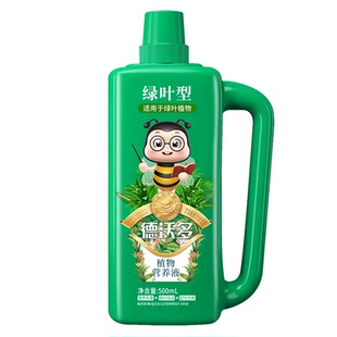 蕨类植物肥料专用肥营养液铁线蕨霸王蕨鹿角蕨红磷蕨水培防枯黄叶
