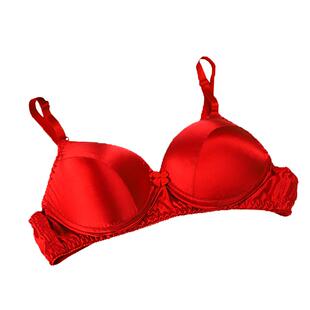 1件包邮 真丝胸罩100%桑蚕丝双面真丝无钢圈光面薄杯女士内衣
