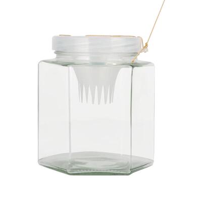 儿童捕鱼瓶抓小鱼工具