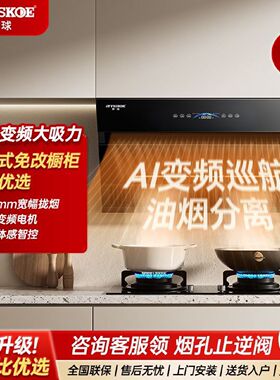 半球抽油烟机家用厨房侧吸自动清洗壁挂式油烟机变频大吸力出租房
