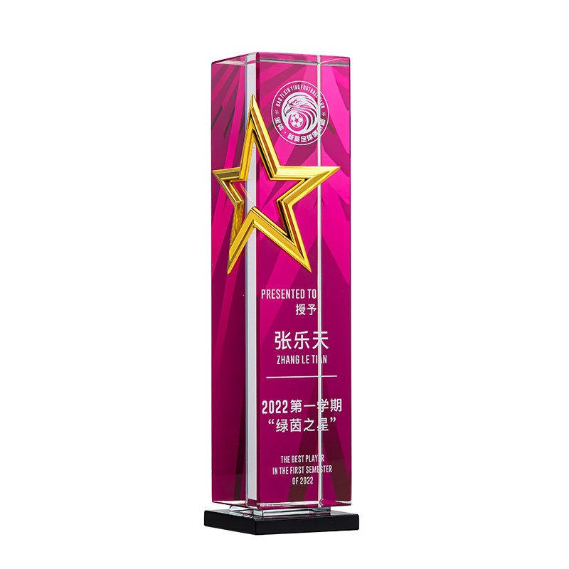 高端金属立体五角星奖杯奖座定制