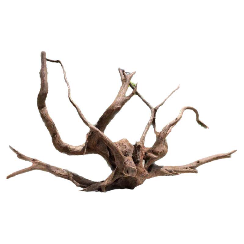 鱼缸沉木造景木物美价优紫柚木