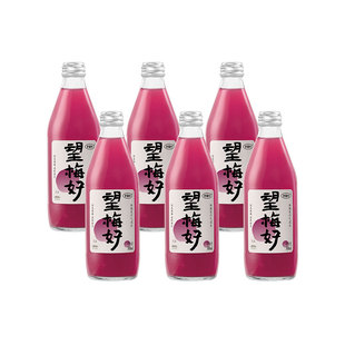 好望水望梅好果汁气泡水杨梅汁饮料望美好订婚结婚伴手礼饮品整箱