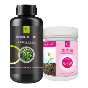 太子参膨果组合膨大素高钾叶面肥生根壮根褐藻寡糖抗病高产中药材