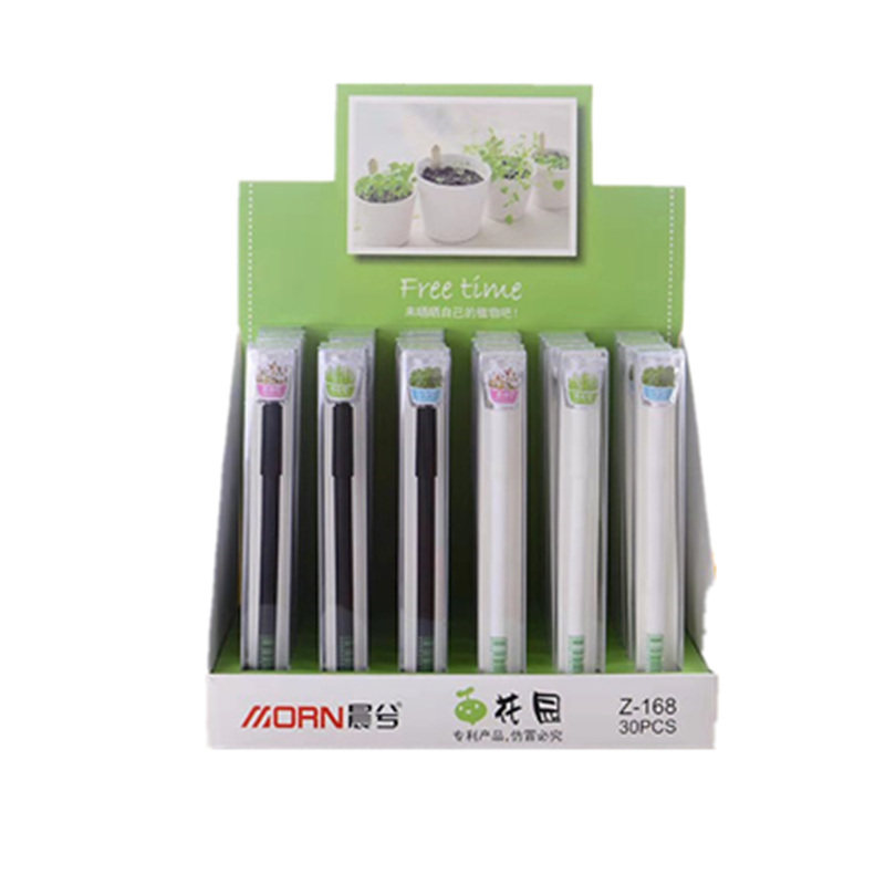会长草的笔迷你植物盆栽