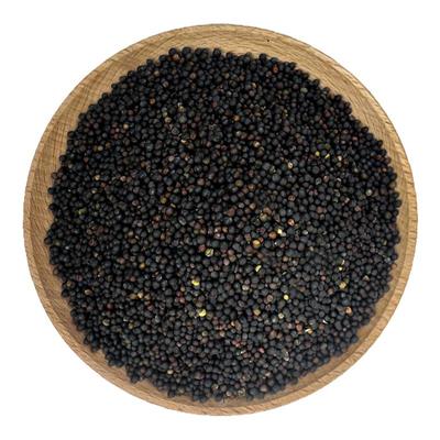 深深宠鹦鹉鸟食饲料油菜籽