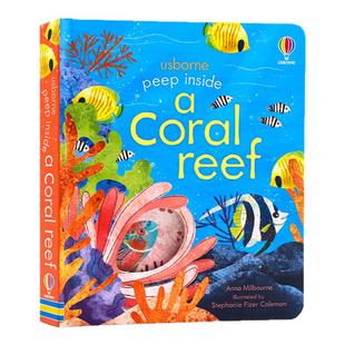 英文原版绘本Peep Inside a Coral Reef Usborne偷偷看里面系列 珊瑚礁 纸板翻翻书洞洞书幼儿启蒙认知机关游戏书边玩边学尤斯伯恩