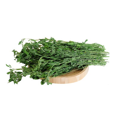 兔子新烘干紫花苜蓿草