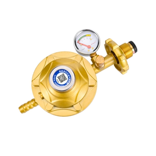 新国标0.6家用大火力液化气煤气减压阀煤气灶热水器通用煤气罐