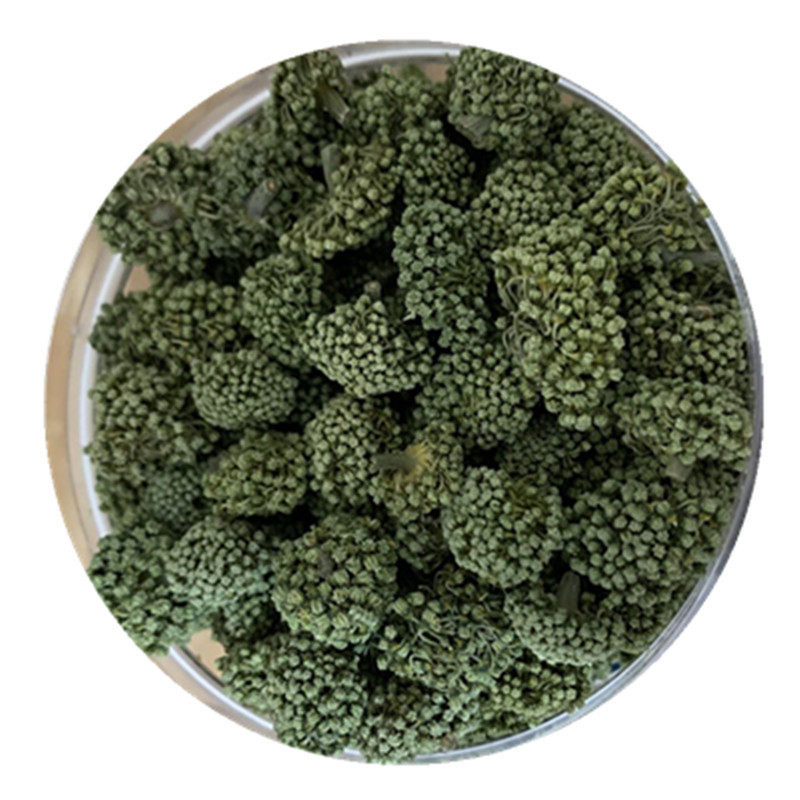 特级4年无梗大朵包邮正品三七花