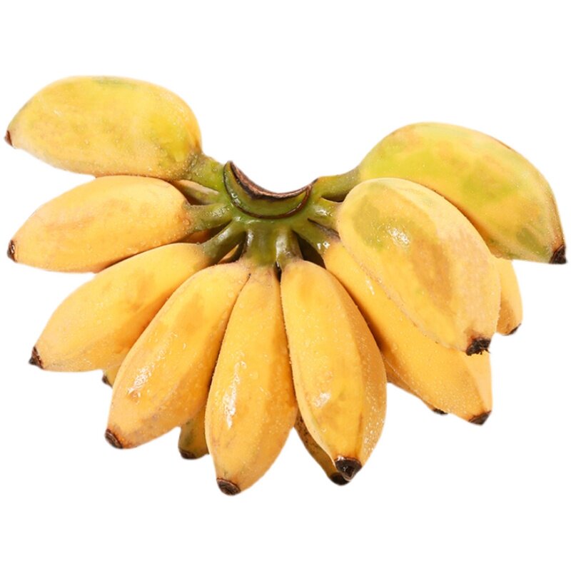 香蕉新鲜5斤苹果自然小米banana