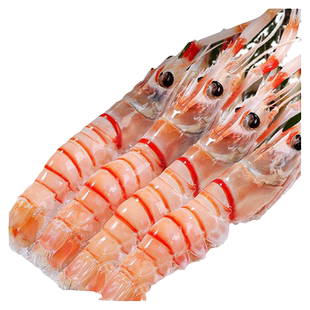 新西兰鳌虾刺身scampi特大深海进口新鲜日料冷冻鲜活水产斯干比甜