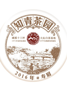 大沁白茶知青茶园福鼎2016年春寿眉300g茶饼枣香老白茶叶