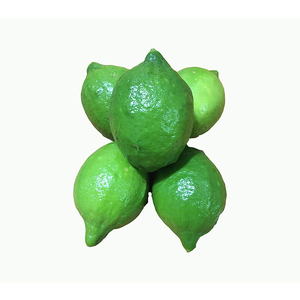 正宗广东香水柠檬新鲜柠檬5斤包邮现摘鲜柠檬奶茶饮品店用