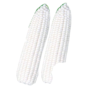 白玉米种子甜糯玉米种孑糯米玉米种籽高产菜种籽蔬菜菜籽四季种植