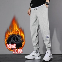 Светло -серый плюс бархат