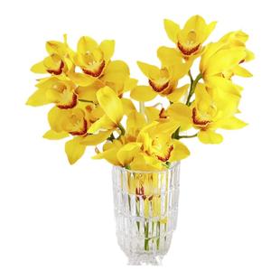 黄色大花蕙兰鲜切花兰花大花惠兰鲜花云南直发黄金岁月水培插花