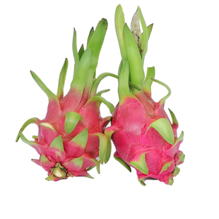 白心火龙果新鲜9斤当季越南进口热带水果白肉火龙果整箱包邮批发5