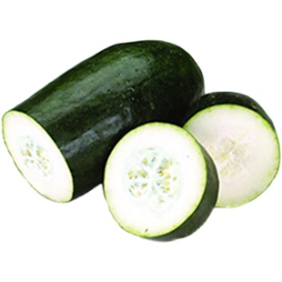 粉皮冬瓜苗春季蔬菜苗爬藤庭院盆栽早熟迷你小冬瓜黑皮大冬瓜秧苗