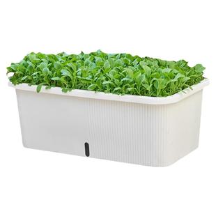 种菜盆阳台家庭种菜神器种植专用箱长方形大花盆家用懒人自吸水盆