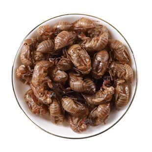 野生蝉蜕中药材正品500g蝉蜕壳蝉壳蝉衣蝉皮蝉退虫退知了壳皮金蝉