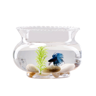 包邮透明圆形玻璃桌面金鱼缸现代时尚水培花器迷你鱼缸花边乌龟缸