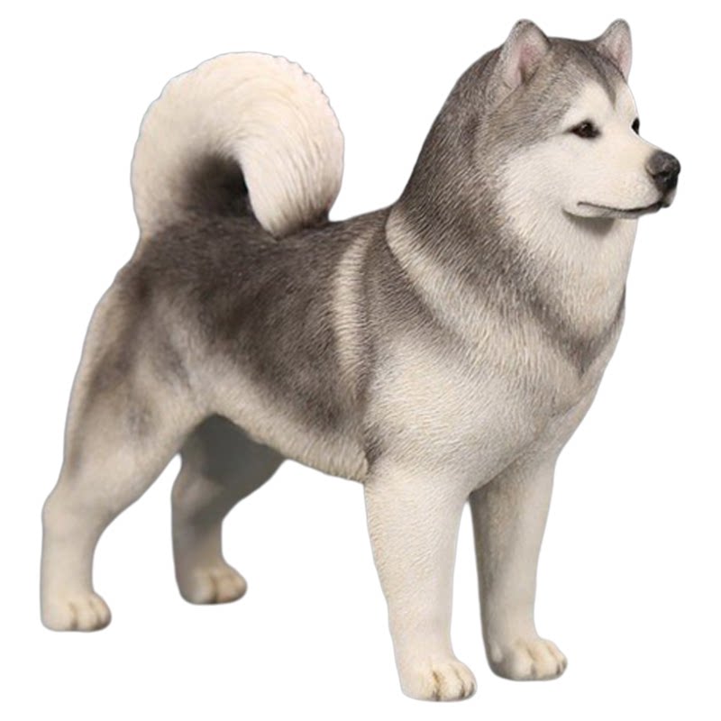 阿拉斯加雪橇犬仿真狗模型摆件