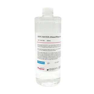 DEPC水 (DNase/RNase free) 无酶无菌水 500mL [PH1783 PHYGENE]